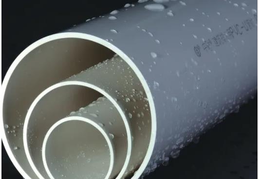 中財區域代理是什么意思？中財代理需要多少錢？