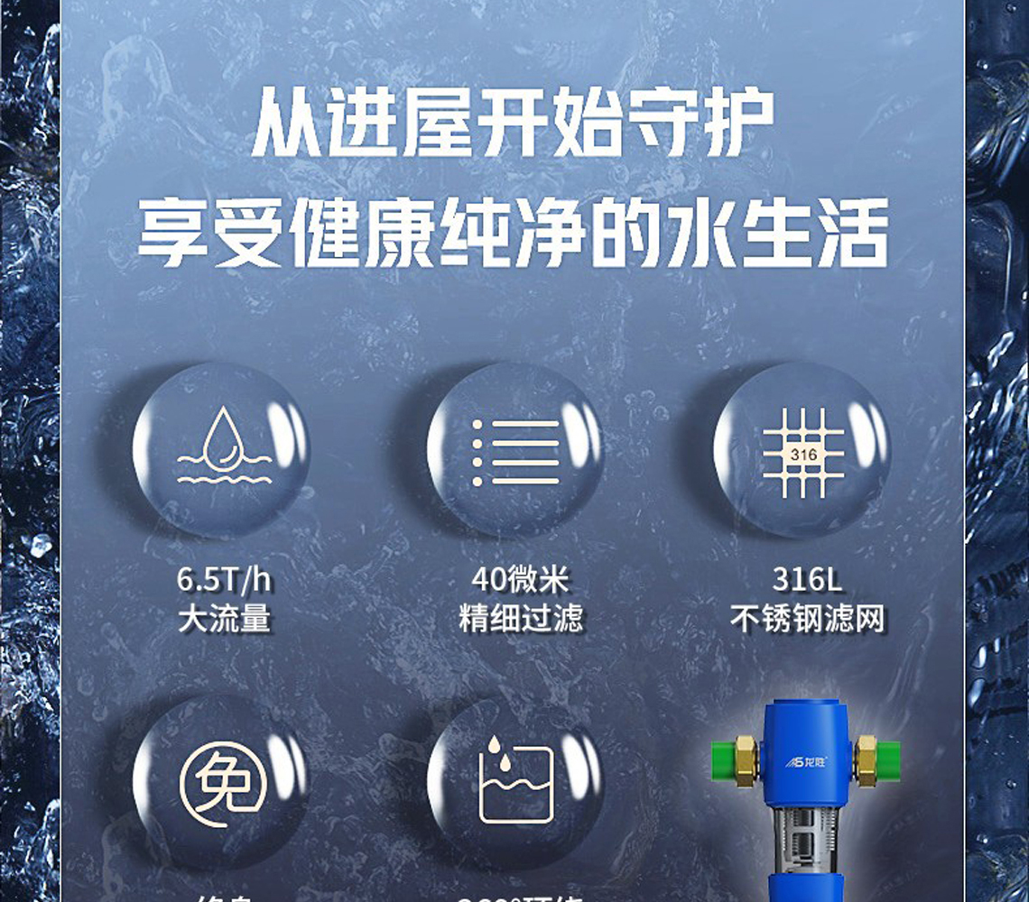 龍勝前置過濾器LS-QZ-10